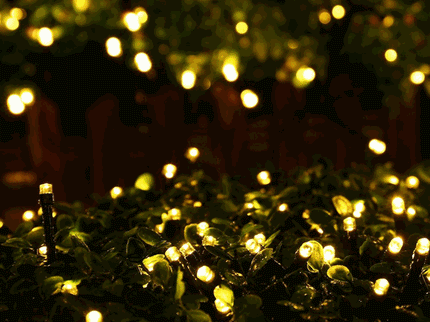 100 Warm White Led Fairy Light Chain 4.95m