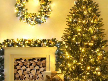 420 Dual Colour LED Fairy Lights Warm White &¬†Multicolour