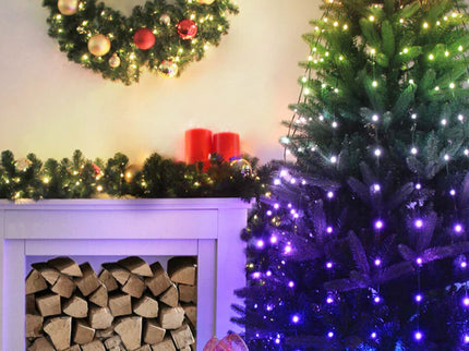 RGB Multicolours 308 LED Fairy Lights