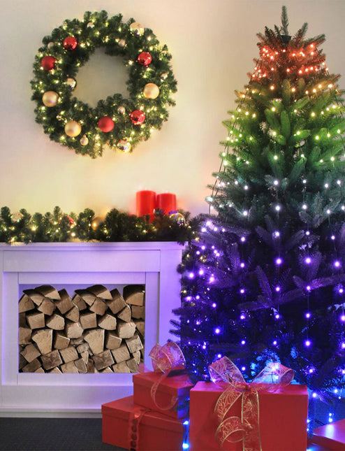 RGB Multicolours 308 LED Fairy Lights