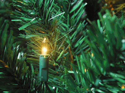 200 Dual Colour Micro LED Branch Lights Warm White / Cool White