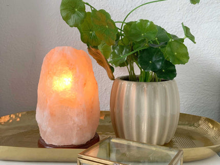 12V 12W 1-2 Kgs Himalayan Pink Salt Lamp Natural Rock Crystal Light Bulb On/Off.