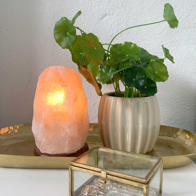 12V 12W 1-2 Kgs Himalayan Pink Salt Lamp Natural Rock Crystal Light Bulb On/Off.