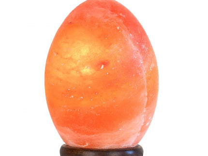 12V 12W Egg Himalayan Pink Salt Lamp Carved Rock Crystal Light Bulb On Off Switch.