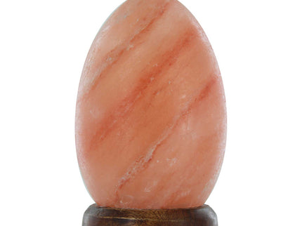12V 12W Egg Himalayan Pink Salt Lamp Carved Rock Crystal Light Bulb On Off Switch.