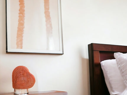 12V 12W Heart Himalayan Pink Salt Lamp Carved Rock Crystal Light Bulb On Off Switch.