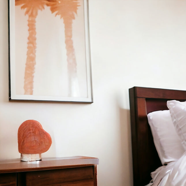 12V 12W Heart Himalayan Pink Salt Lamp Carved Rock Crystal Light Bulb On Off Switch.