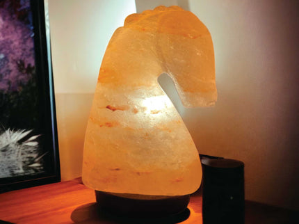 12V 12W Horse Himalayan Pink Salt Lamp Carved Knight Rock Crystal Light Bulb On/Off.