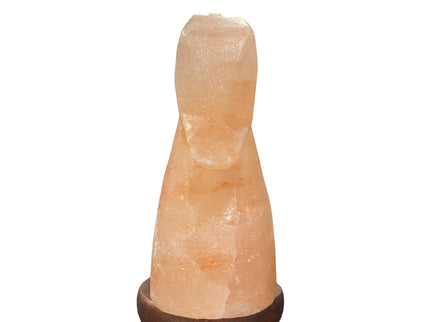 12V 12W Horse Himalayan Pink Salt Lamp Carved Knight Rock Crystal Light Bulb On/Off.