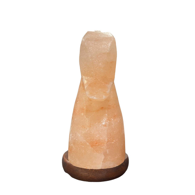 12V 12W Horse Himalayan Pink Salt Lamp Carved Knight Rock Crystal Light Bulb On/Off.