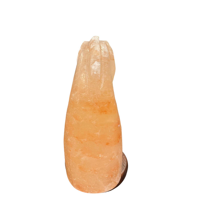 12V 12W Horse Himalayan Pink Salt Lamp Carved Knight Rock Crystal Light Bulb On/Off.