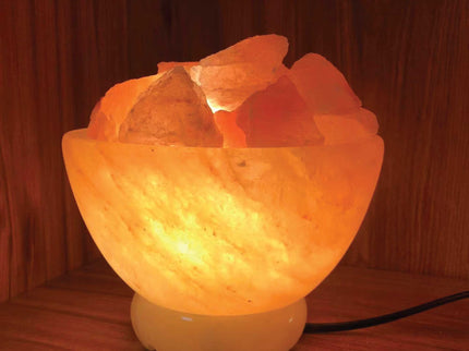 12V 12W Fire Bowl Himalayan Pink Salt Lamp with Carved Rock Crystal Light Bulb.