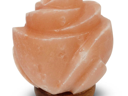 12V 12W Rose Himalayan Pink Salt Lamp Carved Flower Rock Crystal Light Bulb On Off.