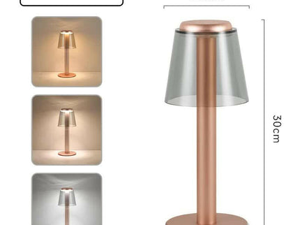 Gold Stylish Transparent Desk Lamp with Touch Control LED and Type-C Charging.