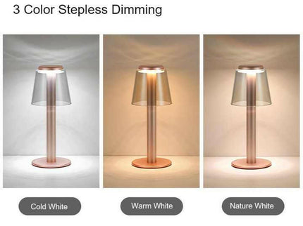 Gold Stylish Transparent Desk Lamp with Touch Control LED and Type-C Charging.