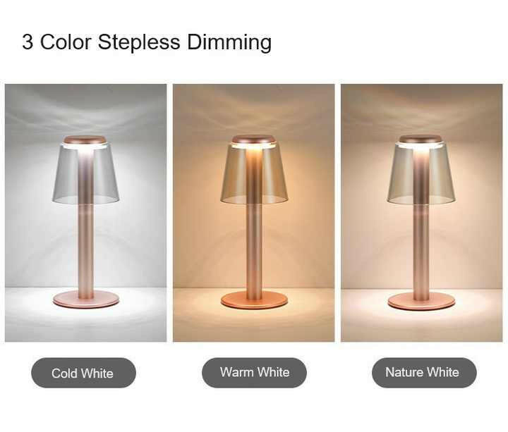 Gold Stylish Transparent Desk Lamp with Touch Control LED and Type-C Charging.