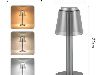 Silver Stylish Transparent Desk Lamp with Touch Control LED and Type-C Charging.