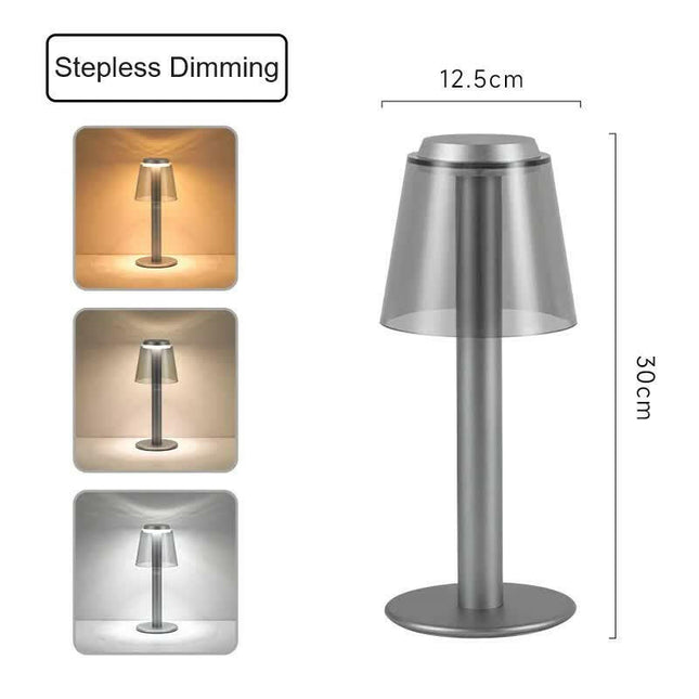 Silver Stylish Transparent Desk Lamp with Touch Control LED and Type-C Charging.