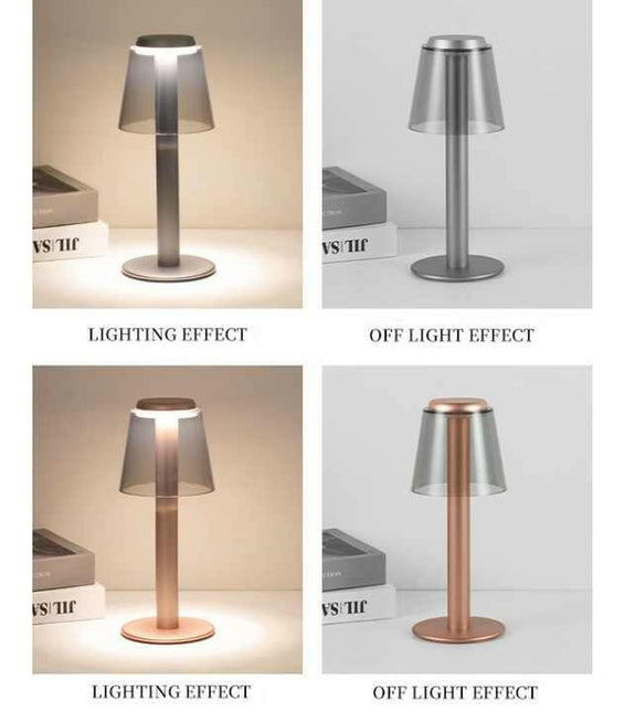 Silver Stylish Transparent Desk Lamp with Touch Control LED and Type-C Charging.