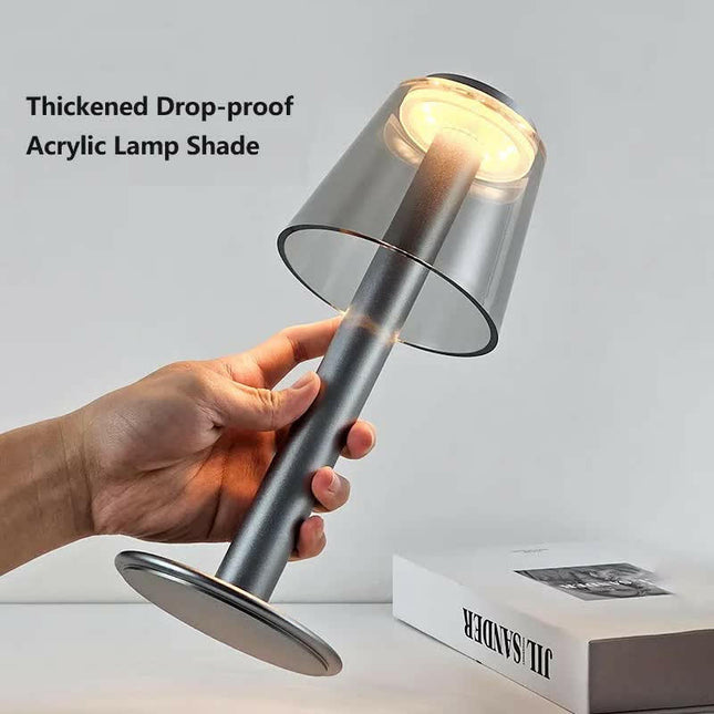 Silver Stylish Transparent Desk Lamp with Touch Control LED and Type-C Charging.