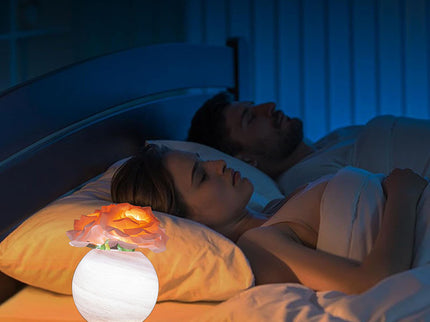 Blue Dreamy Rose Planet Lamp Night Light - Elegant 21cm USB-Charged 3-Color Touch Dimming Decor Gift