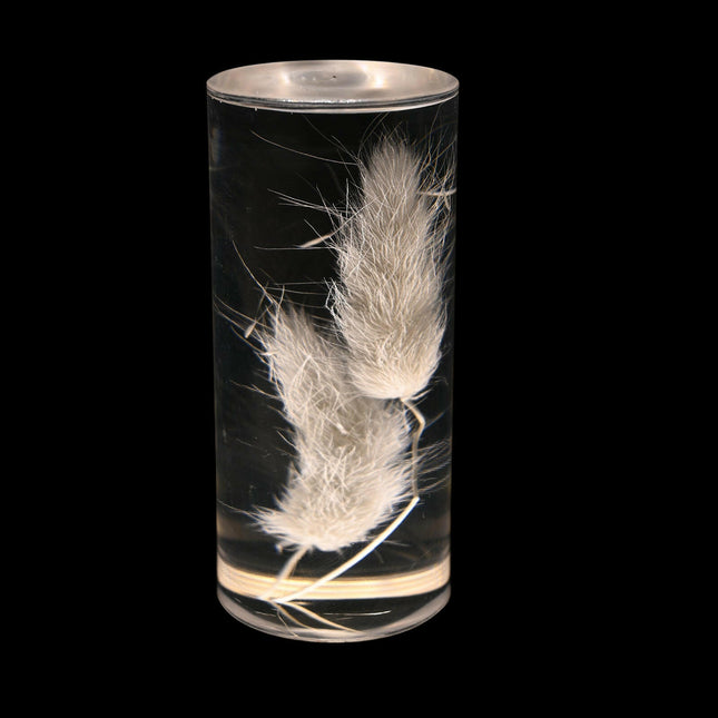 Dogtail Grass Eternal Flower Acrylic Table Lamp Color-Changing LED USB Rechargeable Touch Control.