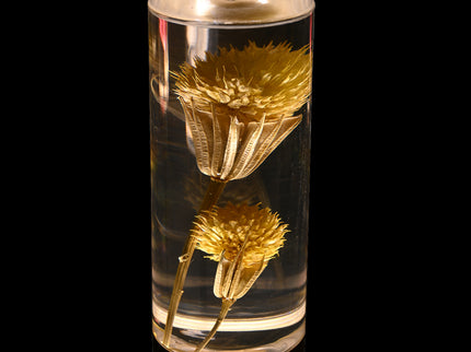 Dandelion Grass Eternal Flower Acrylic Table Lamp - Color-Changing LED, USB Rechargeable, Touch Control