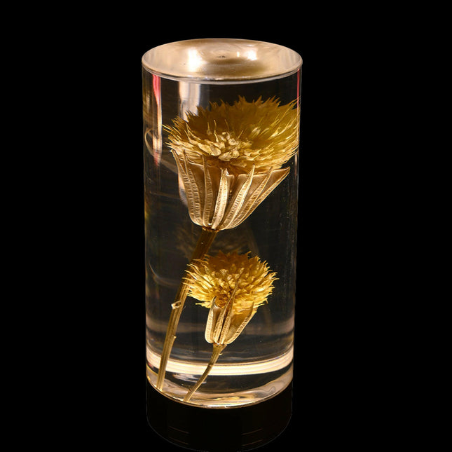 Dandelion Grass Eternal Flower Acrylic Table Lamp Color Changing LED USB Rechargeable Touch Control.