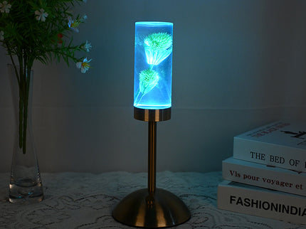 Dandelion Grass Eternal Flower Acrylic Table Lamp - Color-Changing LED, USB Rechargeable, Touch Control