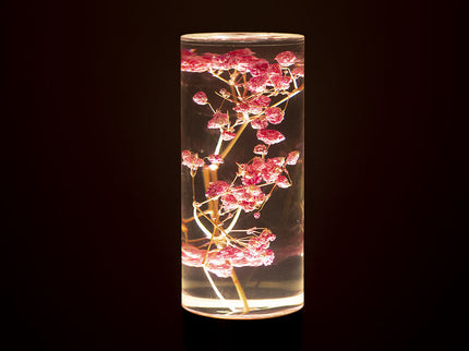 Gypsophila Paniculata Eternal Flower Acrylic Table Lamp - Color-Changing LED, USB Rechargeable, Touch Control