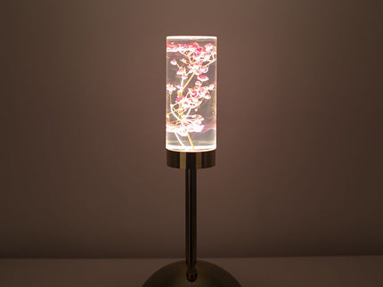 Gypsophila Paniculata Eternal Flower Acrylic Table Lamp - Color-Changing LED, USB Rechargeable, Touch Control