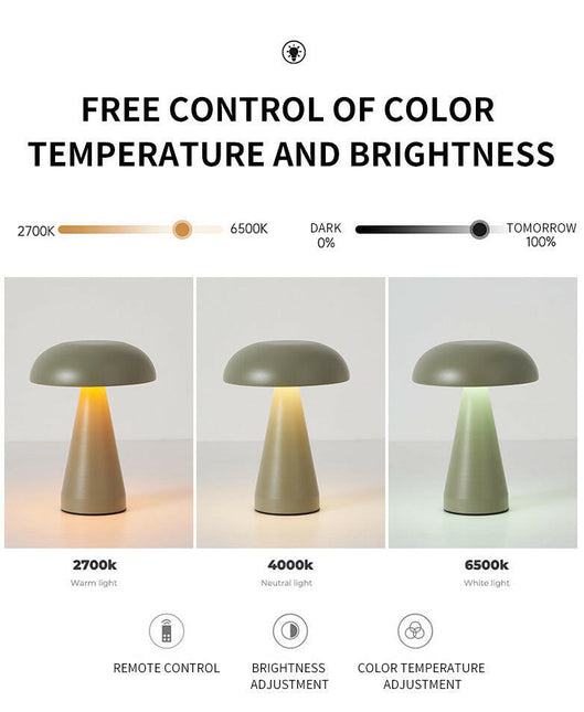 Bronze Metal Mushroom Table Lamp Rechargeable Touch Control Ambient Light with Remote.