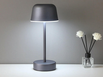 Red Modern Minimalist LED Table Lamp Rechargeable Touch Control Desk Light.