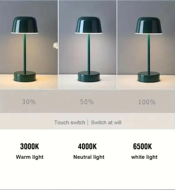 Red Modern Minimalist LED Table Lamp Rechargeable Touch Control Desk Light.